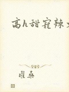 高h甜宠辣文