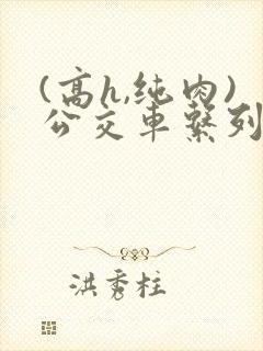 (高h,纯肉)公交车系列封面