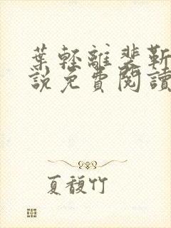 叶轻离裴靳墨小说免费阅读无弹窗