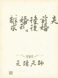 离婚后前夫哭着求我复婚