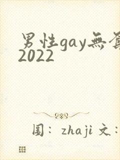 男性gay无套2022