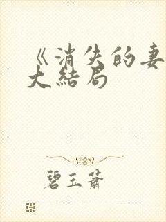 《消失的妻子》大结局封面