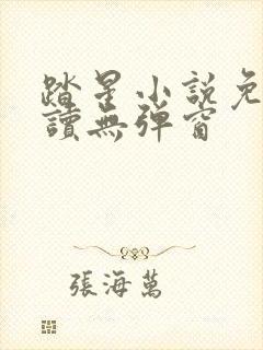 踏星小说免费阅读无弹窗