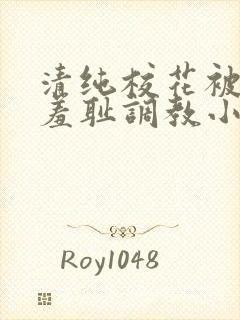 清纯校花被民工羞耻调教小说