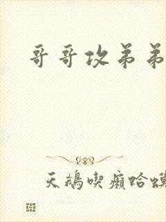 哥哥攻弟弟受h