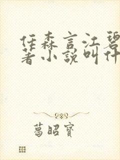 任森言江碧茵原著小说叫什么