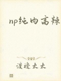 np纯肉高辣