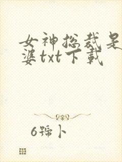 女神总裁是我老婆txt下载