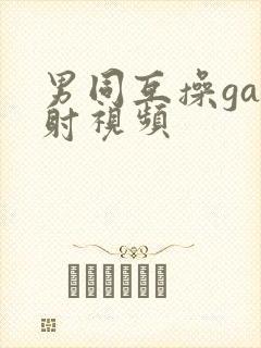 男同互操gay射视频
