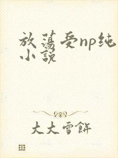 放荡受np纯肉小说