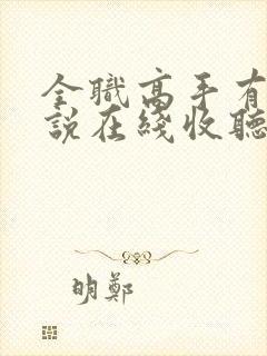 全职高手有声小说在线收听封面