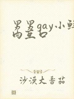 男男gay小鲜肉互口封面