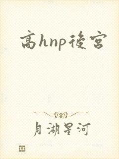 高hnp后宫封面
