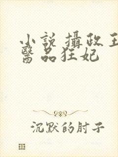 小说 摄政王的医品狂妃