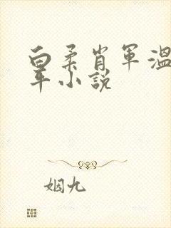 白柔肖军温婉王平小说封面