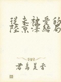 从未被爱的沈念陆京泽结局