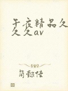 午夜精品久久久久久av