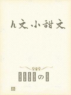 h文小甜文