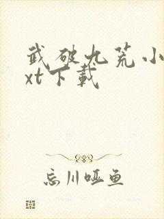 武破九荒小说txt下载封面