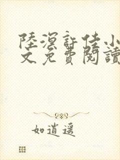 陆溟许佳小说全文免费阅读封面