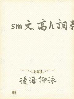 sm文高h调教