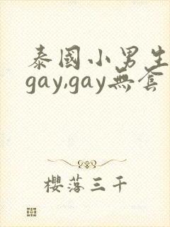 泰国小男生同性gay,gay无套