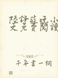 陆铮苏晚小说全文免费阅读