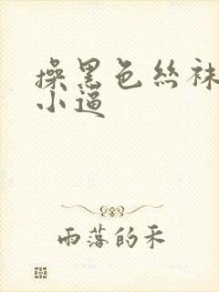 操黑色丝袜欧美小逼