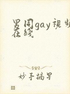 男同gay视频在线