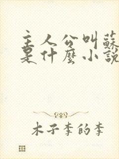 主人公叫苏洛的是什么小说