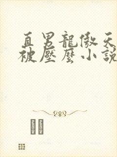 直男龙傲天也要被压么小说免费阅读
