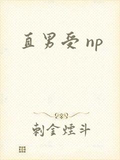 直男受 np
