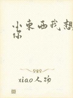 小东西我想弄坏你