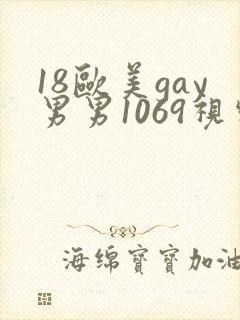 18欧美gay男男1069视频
