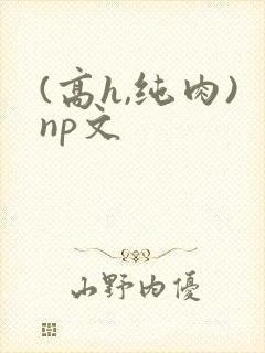 (高h,纯肉)np文