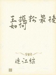 王振松最后结局如何