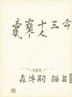 帝霸十三命宫有几个人