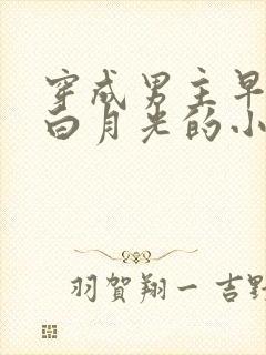 穿成男主早逝的白月光的小说