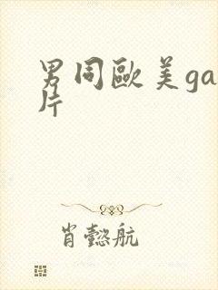 男同欧美gay片封面