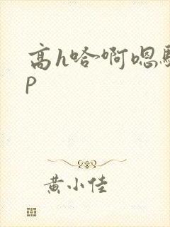 高h哈啊嗯骚np