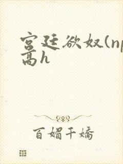 宫廷欲奴(np高h