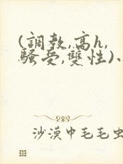 (调教,高h,骚受,双性)小说