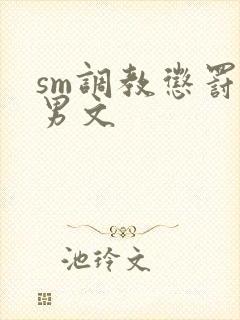 sm调教惩罚男男文