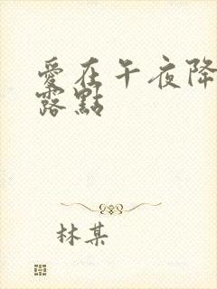 爱在午夜降临前露点