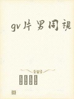 gv片男同视频