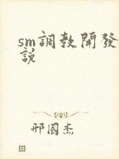 sm调教开发小说