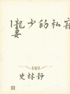 l龙少的私宠甜妻