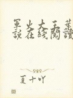 军火大王叶源小说在线阅读无弹窗