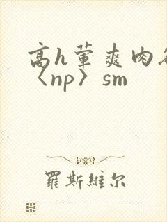 高h荤爽肉欲文〈np〉sm