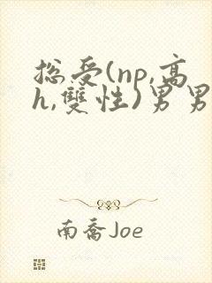 总受(np,高h,双性)男男